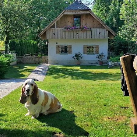 Vila Jana Radovljica Zewnętrze zdjęcie