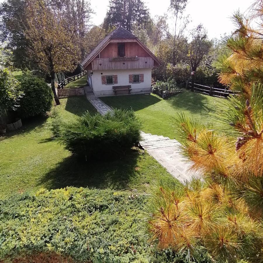 Vila Jana Radovljica Zewnętrze zdjęcie